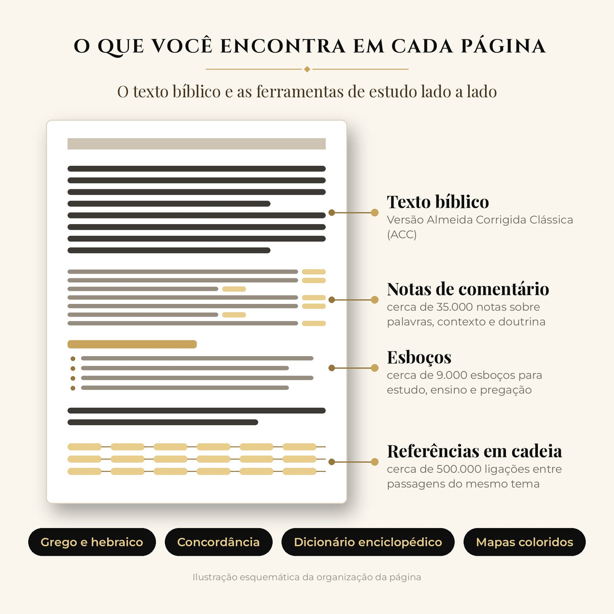 O que você encontra em cada página da Bíblia de Estudo Dake – ilustração esquemática